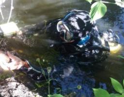 Піротехніками вилучено 116 вибухонебезпечних предметів