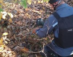 Піротехніками на Луганщині вилучено 17 одиниць вибухонебезпечних предметів 