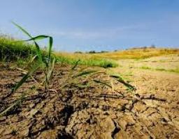 Сбережем наши почвы – залог процветания будущих поколений