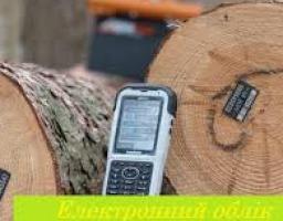 Е-облік деревини: боротьба з незаконним обігом деревини триває