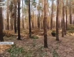 #Вірю_в_ЗСУ У лісах Кремінщини нищать росіян бійці 2-го механізованого батальйону 67-ї окремої механізованої бригади «ДУК» - репортаж з Луганщини (відео)