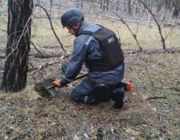 Піротехніками на Луганщині вилучено 33 одиниці вибухонебезпечних предметів