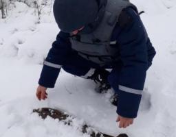 На Луганщині вилучено 34 одиниці вибухонебезпечних предметів