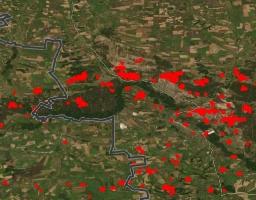 На Луганщині через російське вторгнення постраждало 28 тис. га лісів – переважно хвойних