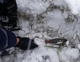 На Луганщині вилучено п’ять одиниць вибухонебезпечних предметів