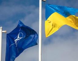 Українців закликають підписати петицію до НАТО щодо захисту українського неба