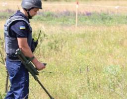 На Луганщині піротехніками вилучено дві одиниці вибухонебезпечних предметів