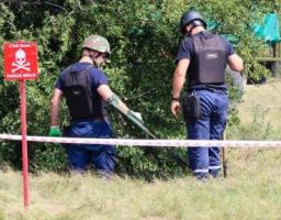 Піротехніками на Луганщині вилучено 37 одиниць вибухонебезпечних предметів