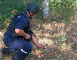 Піротехніками за минулий тиждень вилучено 270 одиниць вибухонебезпечних предметів 