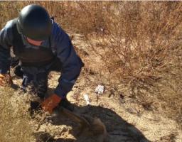 Піротехніками за минулий тиждень вилучено 140 одиниць вибухонебезпечних предметів 