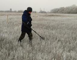 Піротехніками на Луганщині вилучено 30 одиниць вибухонебезпечних предметів 