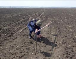 Піротехніками на Луганщині перевірено 31,1 га території 