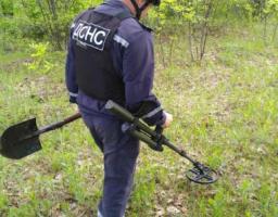 Піротехніками на Луганщині вилучено 29 одиниць вибухонебезпечних предметів