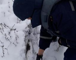 На Луганщині вилучено вісім одиниць вибухонебезпечних предметів