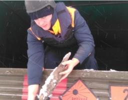 На Луганщині вилучено шість одиниць вибухонебезпечних предметів