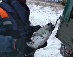 На Луганщині з початку року піротехніками вилучено 1241 одиницю вибухонебезпечних предметів 