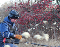 Піротехніками вилучено 10 одиниць вибухонебезпечних предметів