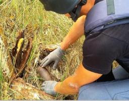 Піротехніками на Луганщині вилучено 14 одиниць вибухонебезпечних предметів 