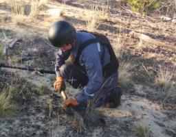 Піротехніками на Луганщині вилучено 36 одиниць вибухонебезпечних предметів