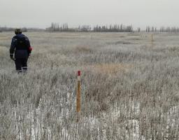 Піротехніками на Луганщині вибухонебезпечних предметів не виявлено 