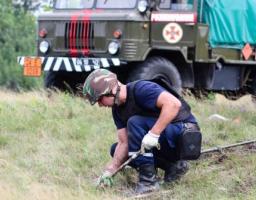 Піротехніками за минулий тиждень вилучено 172 одиниці вибухонебезпечних предметів