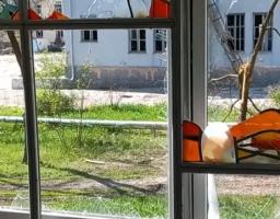 Росіяни безперервно обстрілюють Рубіжне: евакуацію вкотре зірвано, у будівлі гуманітарного штабу небезпечно перебувати, – Сергій Гайдай