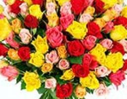 Видатним спортсменам та тренерам Луганщини призначені стипендії Президента України