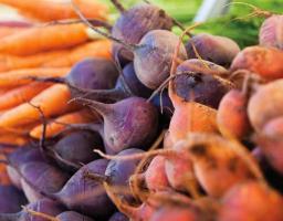 На Луганщині сало, морква та буряк – найдешевші в Україні