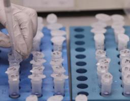 Важливо: в області ще 4 особи одужали від COVID-19