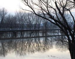 Важливо: оперативна інформація щодо ситуації з підтопленням в області