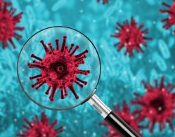 У Сєвєродонецьку підтверджені ще два випадки захворювання на COVID-19.