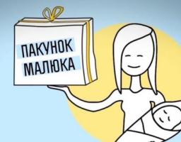 Монетизація «пакунка малюка»: батьки самі вирішують як краще в інтересах дитини скористатися допомогою