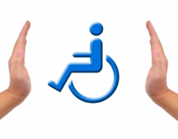 В області відновлює роботу Луганський обласний центр соціальної реабілітації дітей-інвалідів «Відродження»