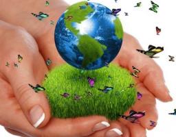 На відновлення навколишнього середовища цьогоріч сплачено 55 мільйонів екоподатку