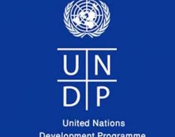 З маленьких «історій успіху» складається велике економічне диво