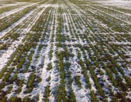 Інформація про індексацію нормативної грошової оцінки земель за 2020 рік