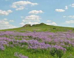 Культурна спадщина Луганщини - невід’ємна складова Європейської спадщини