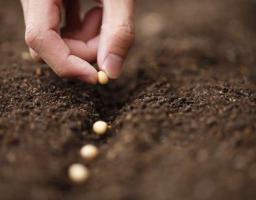 Міжнародні партнерські організації підтримують агропромисловців Луганщини