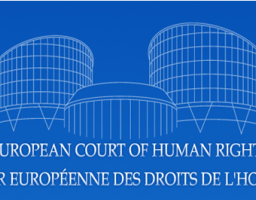 Чергове засідання регіонального відділення Секретаріату Уповноваженого у справах Європейського суду з прав людини