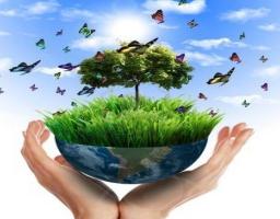 На відновлення навколишнього середовища Луганщини сплачено понад 73 мільйони екоподатку