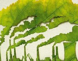 Під час апаратної наради розглянуте питання стану та попередження забруднення довкілля в процесі діяльності асфальтобетонних заводів