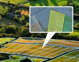 Новації щодо здійснення кадастровими реєстраторами державної реєстрації земельної ділянки за принципом випадковості