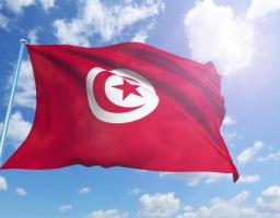 УКРАЇНА ВІДКРИЛА РИНОК ТУНІСУ ДЛЯ ВІТЧИЗНЯНОГО М’ЯСА ПТИЦІ