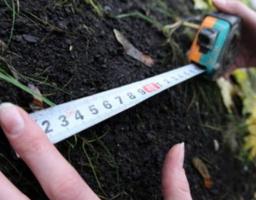 Понад 20 тисяч земельних ділянок зареєстровано цьогоріч на Луганщині