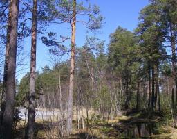 На Луганщині реалізується регіональна природоохоронна програма