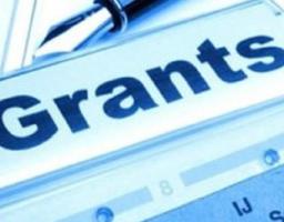 Гранти на розбудову спроможності галузевих асоціацій і громадських об’єднань аграрного сектору