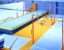 Гімнаст з Луганщини – на п’єдесталі міжнародного турніру «VALERI LIUKIN INVITATIONAL»