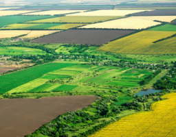 Громади Луганської області отримали земельні ділянки із державної власності 