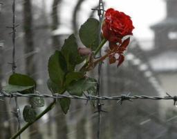 11 квітня – Міжнародний день визволення в’язнів фашистських концтаборів