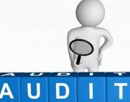 Порушень на 262 мільйонів гривень у сфері закупівель попередили аудитори Луганщини 